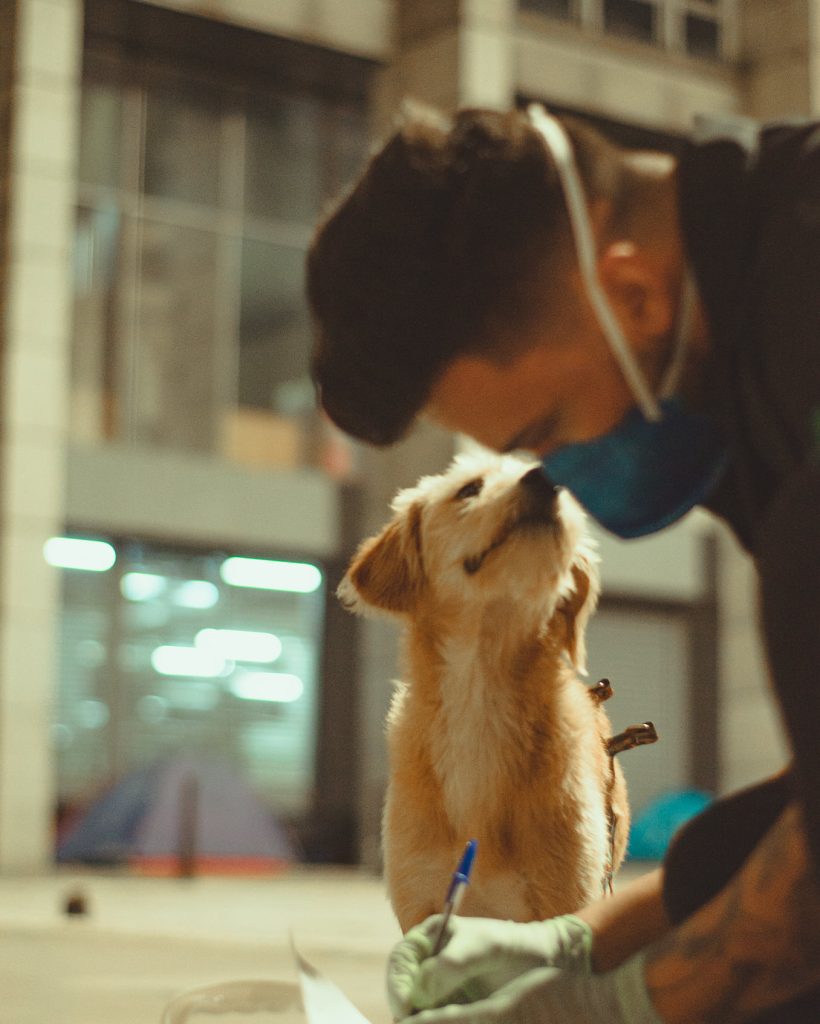 Veterinarios_nas_ruas_3BDM