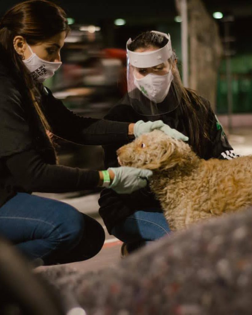veterinarios_nas_ruas_1
